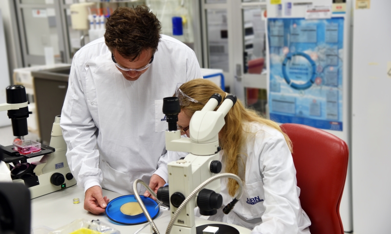 Researchers with Nanopatch.