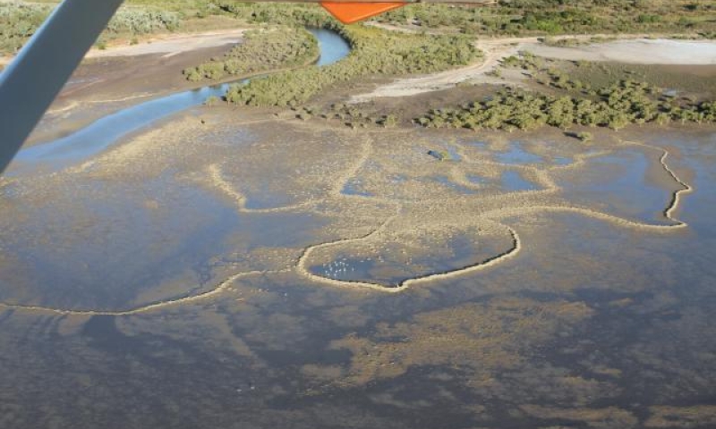 New aerial image documenting trap walls hundreds of meters long in the Gulf of Carpentaria.