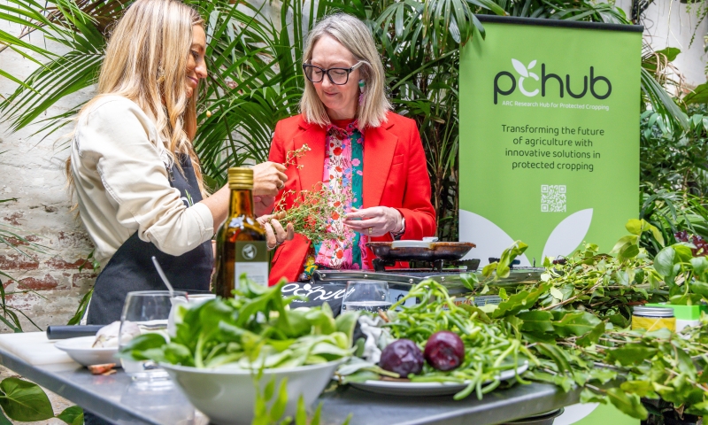 Senator Lisa Darmanin stands beside another person at a table filled with fresh herbs, leafy greens, and vegetables, engaging in discussion at the ARC Research Hub for Protected Cropping (PC Hub) launch event. A green PC Hub banner is visible in the background, along with lush indoor plants.