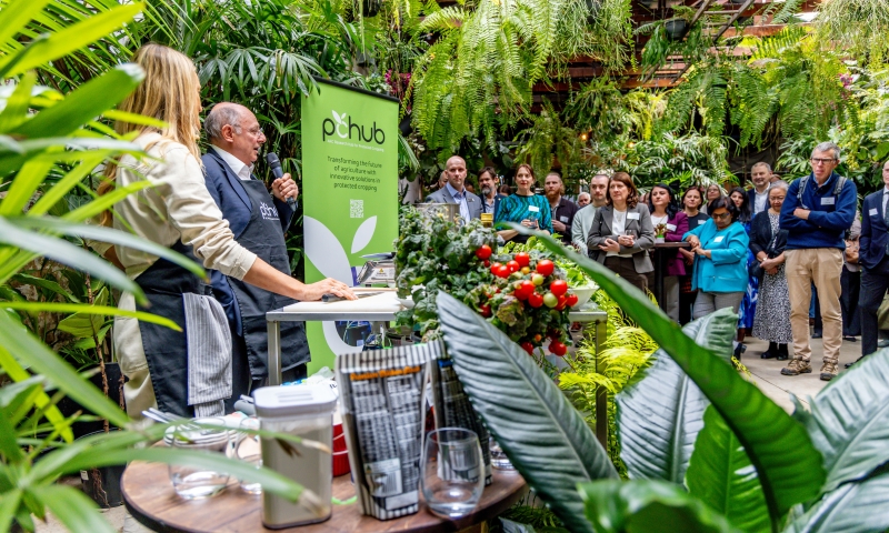 Professor Tony Bacic, holding a microphone, speaks to an audience at the ARC Research Hub for Protected Cropping (PC Hub) launch event. The scene features lush green plants, a table with fresh produce and kitchen items in the foreground, and a green PC Hub banner in the background. A group of attendees stands and listens among the greenery.