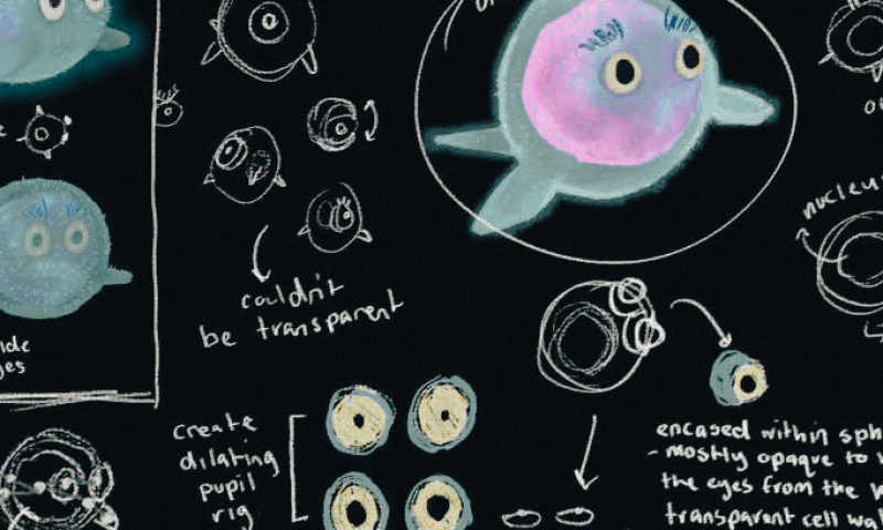 Illustrated concept sketches on a dark background showing a round, cartoon‑style microbe character with eyes, alongside handwritten notes and diagrams, illustrating animator Amelia Farrell's design process for portraying Dr Yan Liao as an Archaea.