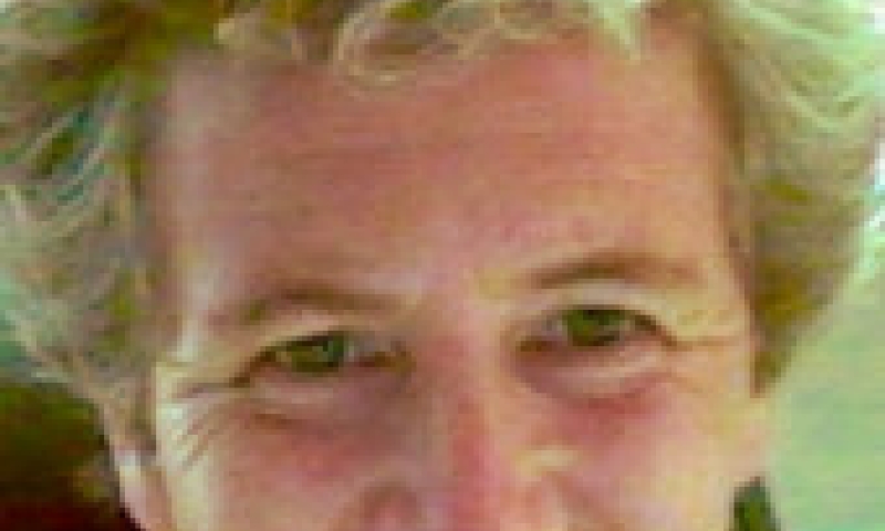 Australian Laureate Fellow Professor Pippa Norris