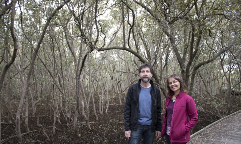 Image: Associate Professor Jose Rodriguez and Associate Professor Patricia Saco in the mangroves. Image credit: The University of Newcastle.