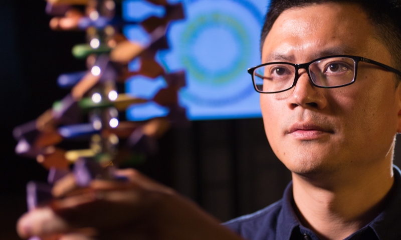 Image: Professor Jian Yang. Image provided by Professor Yang.